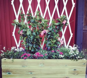 (berglofs)11283336 821753057900379 1054446837 n