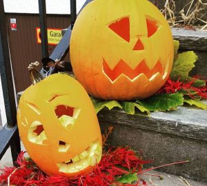 (berglofs)12093732 1630008983931841 976542400 n