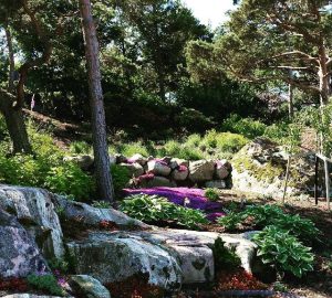 (berglofs)1596955 1437606583231500 154286169 n